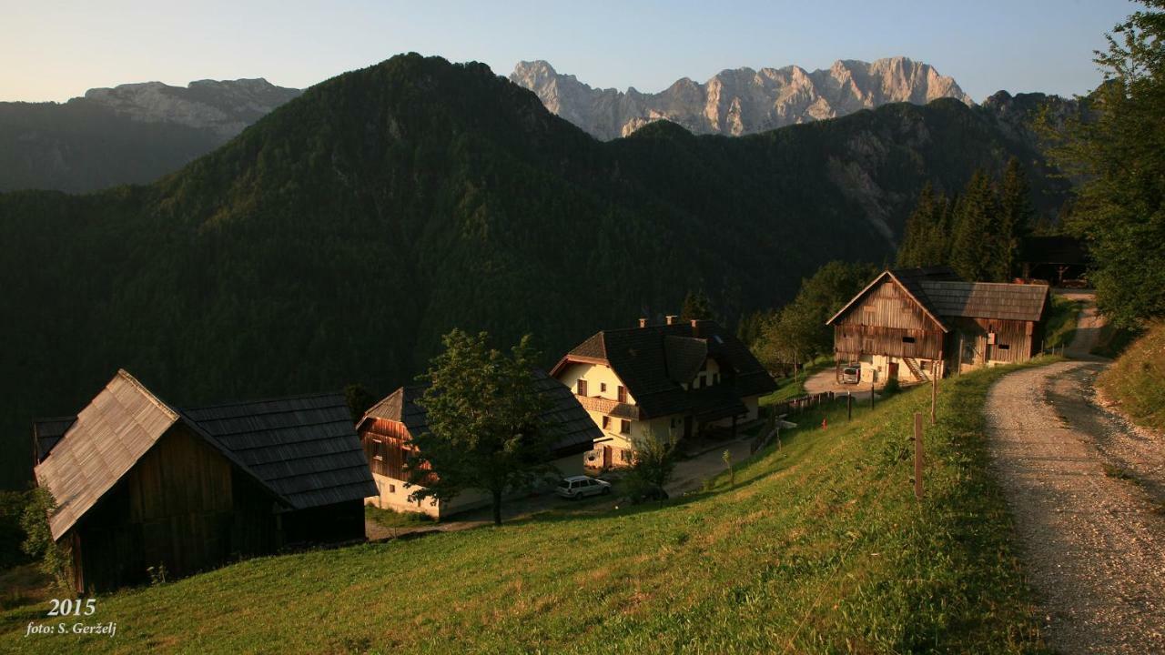 Kmetija Matk Solčava Exterior foto