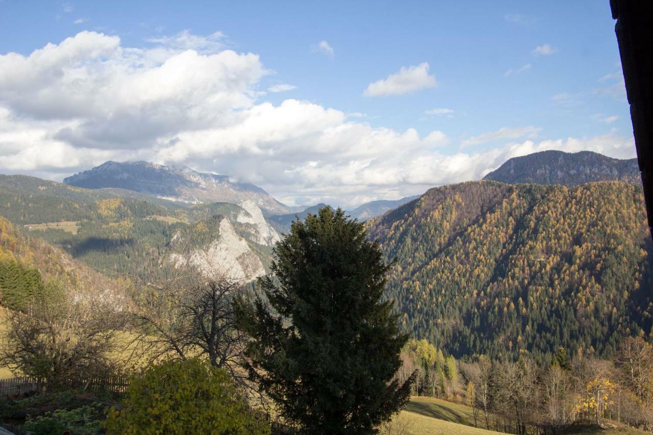 Kmetija Matk Solčava Exterior foto