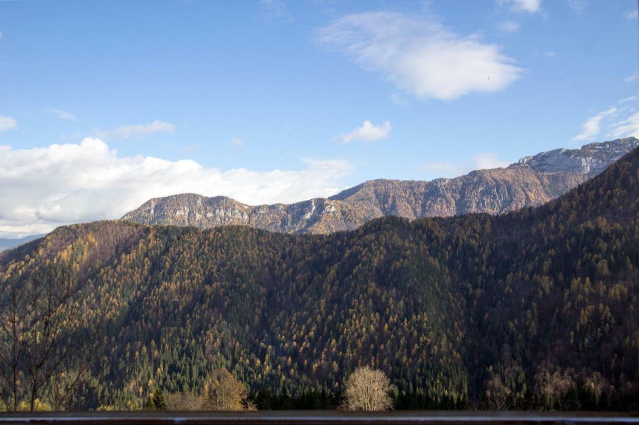 Kmetija Matk Solčava Exterior foto