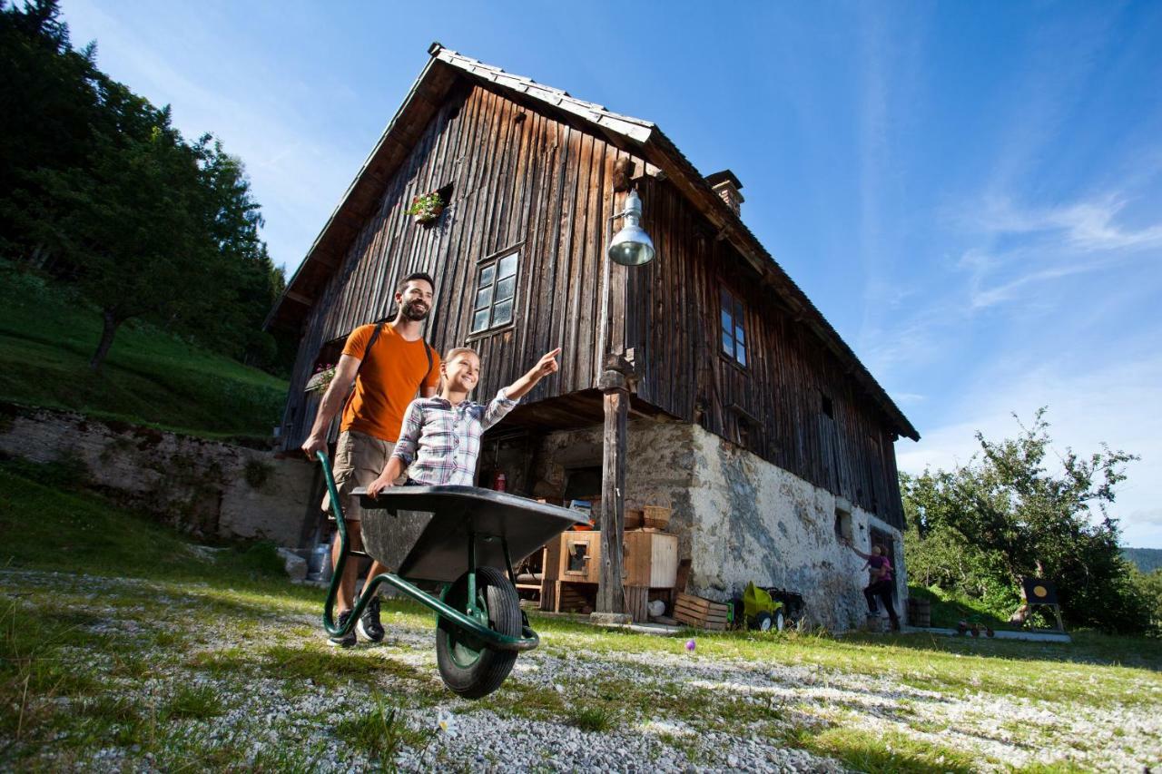 Kmetija Matk Solčava Exterior foto