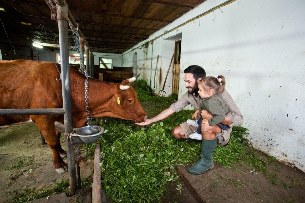 Kmetija Matk Solčava Exterior foto